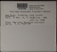 Image Associated With the Occurence